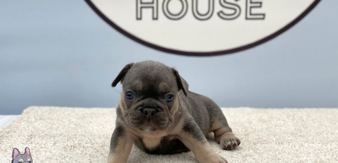 Photo 01-09-2020, 19 34 45